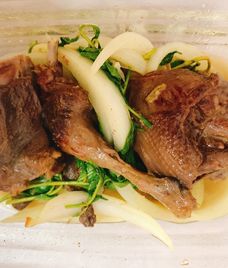 chim bồ câu cho bé