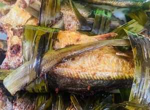 Gambar Ikan Cencaru Sumbat