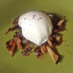 A picture of Poached Egg with Roasted Shiitake and Shallots.