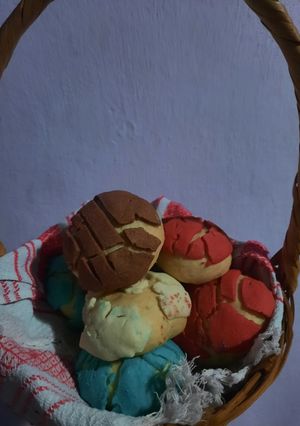 Una foto de Conchas