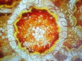 دزيريات جوز الهند