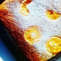 A picture of Citrus sponge.