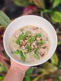 ข้าวต้มข้าวโอ๊ตหมูสับเห็ดหอม
