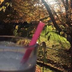 A picture of Vanilla Milkshake.