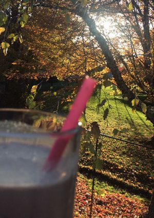 A picture of Vanilla Milkshake.