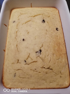A picture of Banana and Raisin Bread.