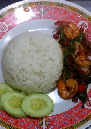 รูปของ กุ้งผัดใบกระเพราราดหน้าข้าว