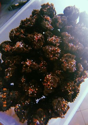Foto resep Choco Corn Flakes