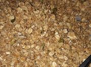 Gambar muesli panggang