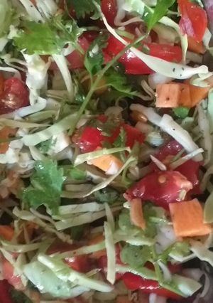 સલાડ (Salad Recipe In Gujarati) રેસીપી મુખ્ય ફોટો