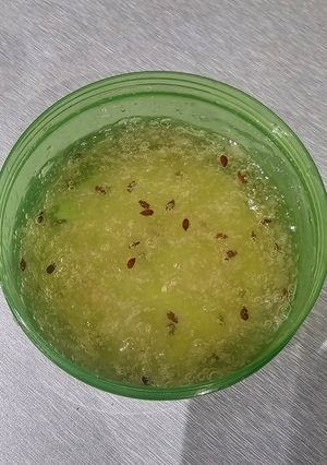 عکسی از دستور ژل موی طبیعی