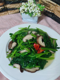 菠菜炒鮮香菇 的食譜成品照片