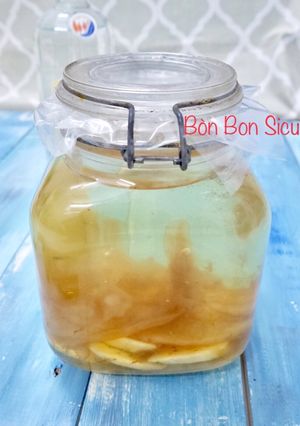 Hình của món Dấm Nuôi Nhà Làm.