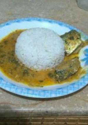 A picture of Fish gravy with Boil Rice.