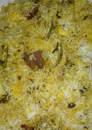 A picture of Barbeque Beef Tikka Biryani.