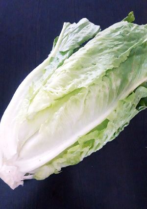 عکسی از دستور برگ کاهو