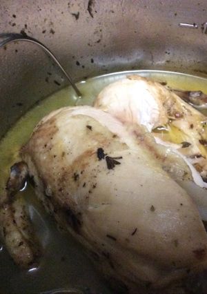 A picture of Instant Pot Rotisserie Chicken.