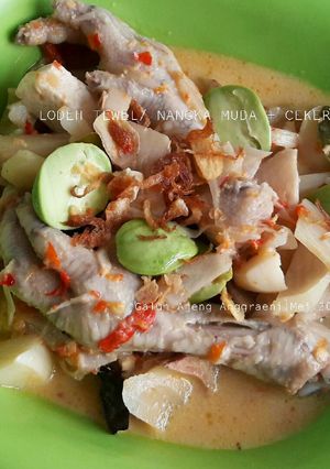 Foto resep Lodeh tewel/ nangka muda + ceker + pete