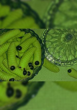 Foto resep Kue ulat unyu