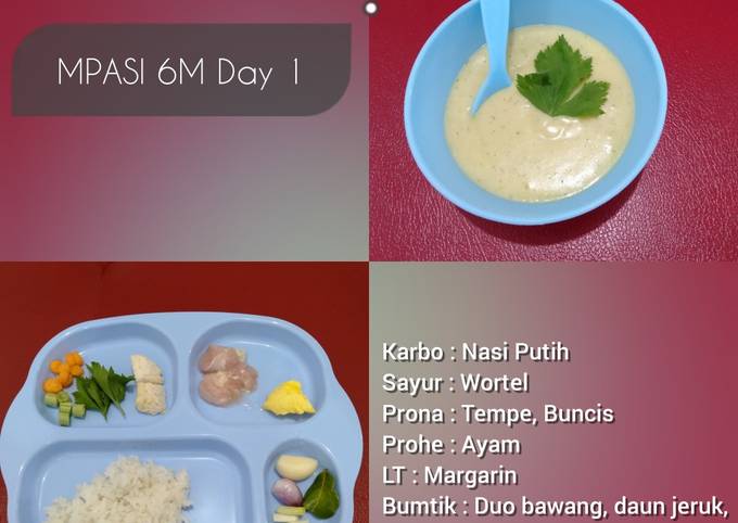 MPASI 6 Bulan Bubur Sup Ayam