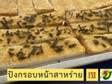 ปังกรอบหน้าสาหร่าย(เจ)