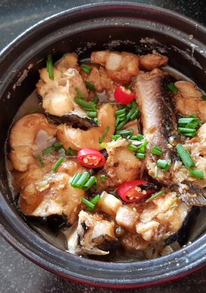 Hình của món Cá lăng kho tộ.