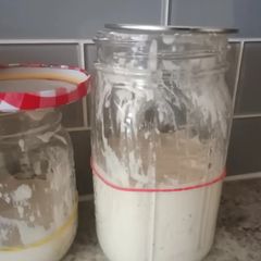 A picture of Simplest Sourdough Starter.