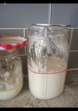 A picture of Simplest Sourdough Starter.