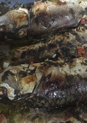 صورة لوصفة صينية سمك مشوي