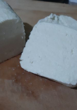 Foto resep Keju mozarella home made Hanya 2 bahan