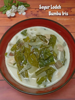 Foto resep Sayur lodeh bumbu iris