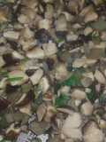 Hongos Shiitake a la provenzal