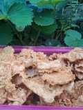 Kripik tempe