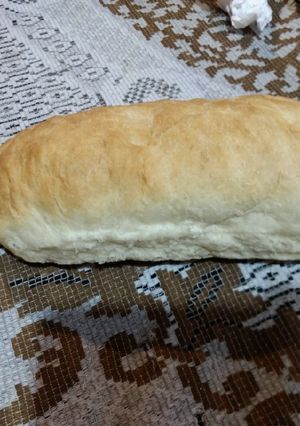 A picture of Pan casero.