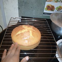 A picture of Simple vanilla cake.
