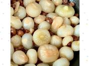 Una foto di cipolline agrodolce