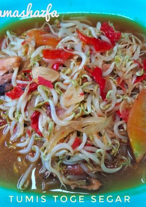 Foto resep Tumis Toge Segar