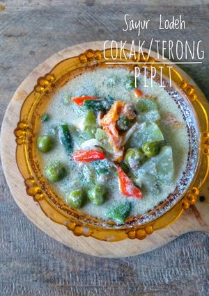 Foto resep Sayur Lodeh Cokak/Terong Pipit