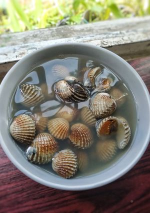 Foto resep Sup Kerang Bening