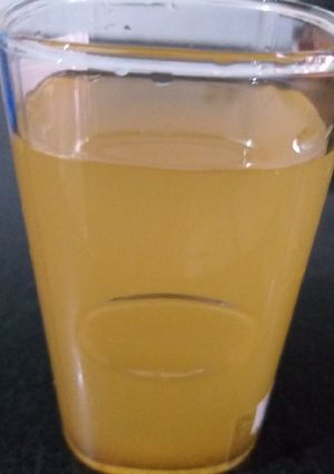 A picture of Jaljeera.