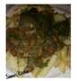 Easy Way Make Recipe Chips with Veggies_kidney sauce that is Delicious, Tasty}