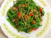 Gambar sayur daun labu