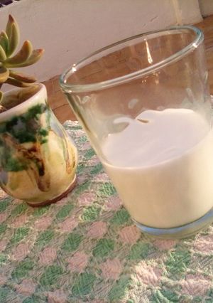 Una foto de Leche de coco