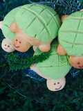 Tortuconchas