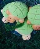 Tortuconchas