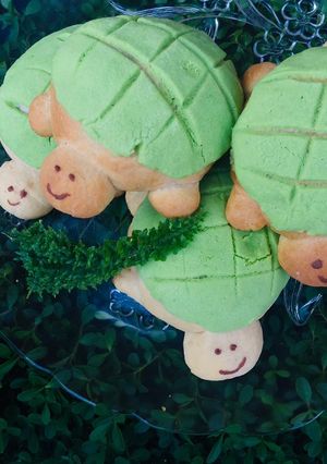 Una foto de Tortuconchas