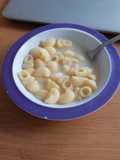 Sopa de tiburones/caracolas