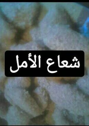 صورة لوصفة قاطو الفرماج