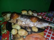 Una foto de lisa pescado