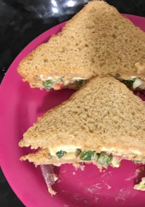 A picture of Veg Mayo Sandwich.